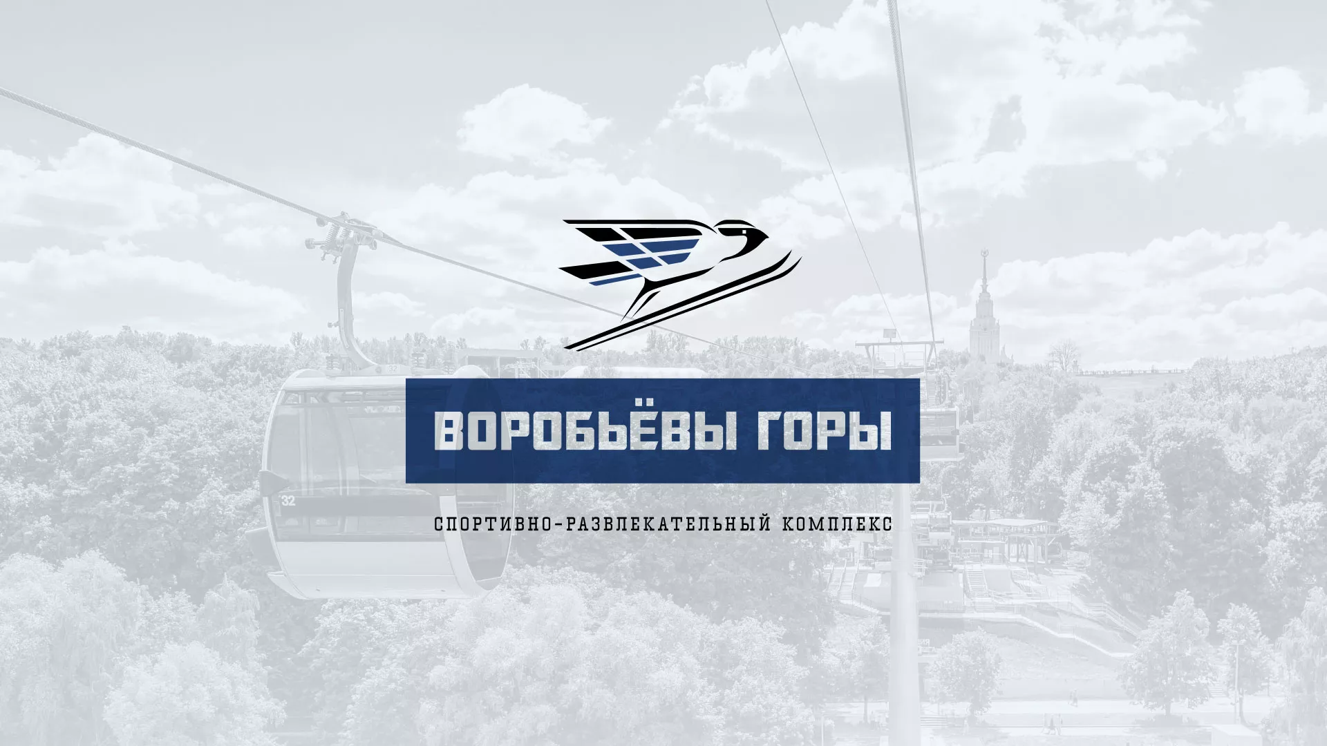 Разработка сайта в Воронеже для спортивно-развлекательного комплекса «Воробьёвы горы»