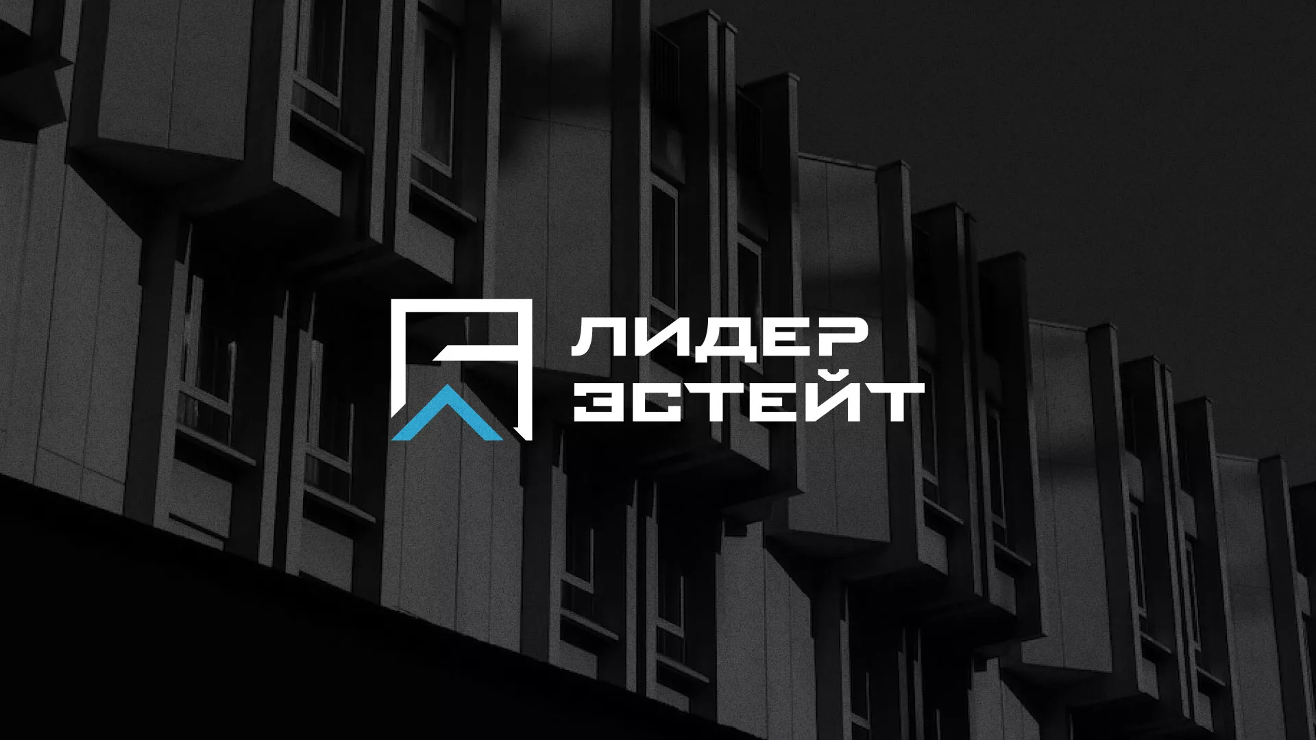 Разработка логотипа агентства недвижимости «Лидер Эстейт» в Воронеже