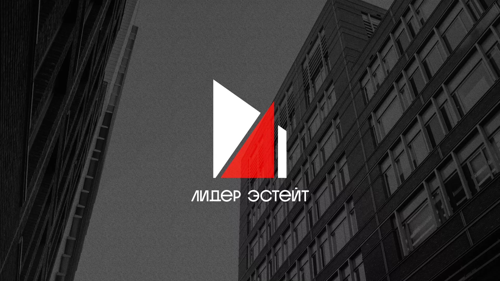 Сделали логотип для агентства недвижимости «Лидер Эстейт» в Воронеже